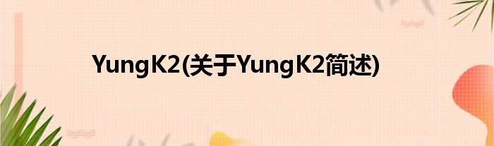 YungK2(对于YungK2简述)