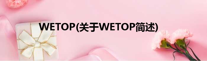 WETOP(对于WETOP简述)
