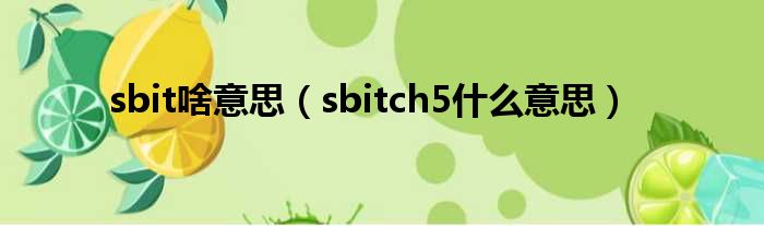 sbit啥意思（sbitch5甚么意思）