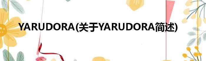 YARUDORA(对于YARUDORA简述)