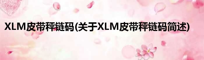 XLM皮带秤链码(对于XLM皮带秤链码简述)
