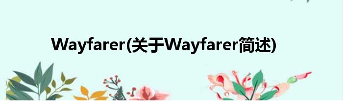 Wayfarer(对于Wayfarer简述)