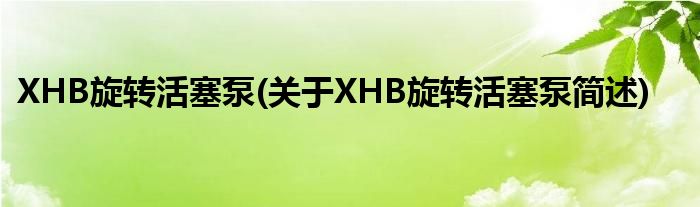 XHB旋转活塞泵(对于XHB旋转活塞泵简述)