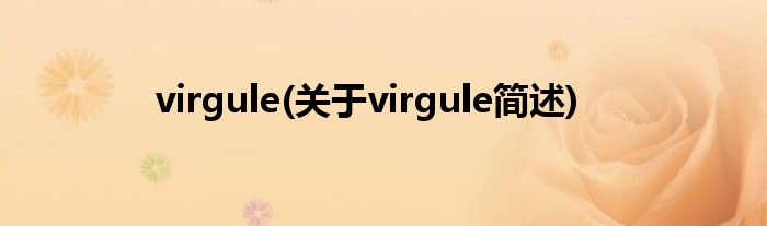 virgule(对于virgule简述)