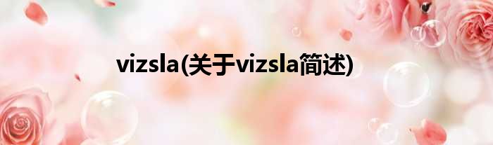 vizsla(对于vizsla简述)