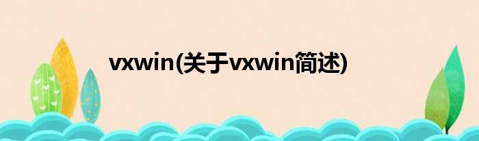 vxwin(对于vxwin简述)