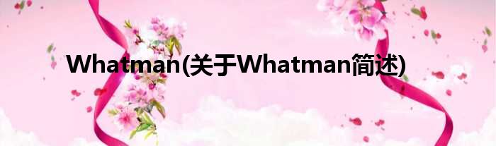 Whatman(对于Whatman简述)
