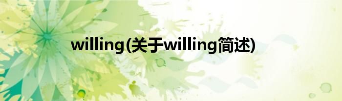 willing(对于willing简述)