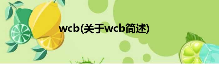 wcb(对于wcb简述)