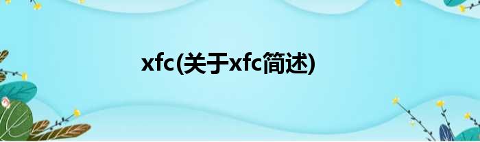 xfc(对于xfc简述)