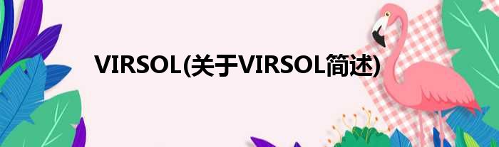 VIRSOL(对于VIRSOL简述)
