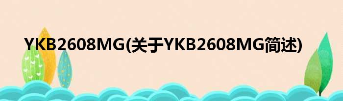 YKB2608MG(对于YKB2608MG简述)
