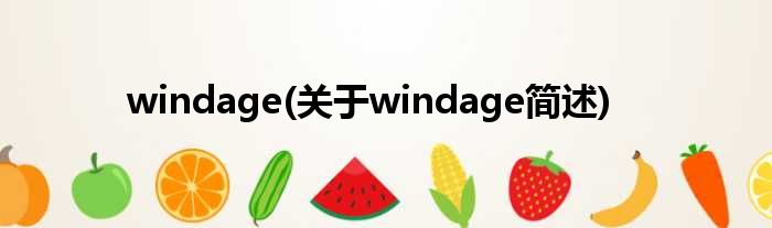 windage(对于windage简述)