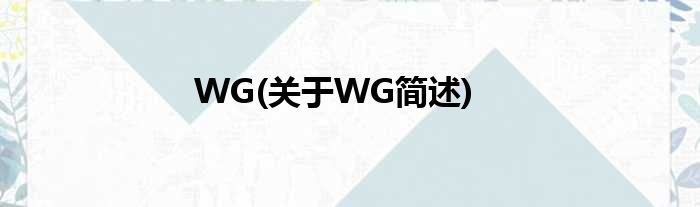WG(对于WG简述)