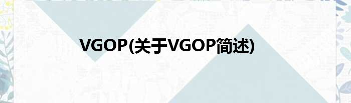 VGOP(对于VGOP简述)