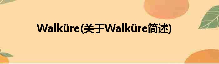 Walküre(对于Walküre简述)