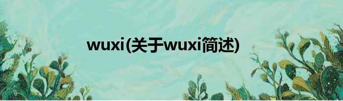 wuxi(对于wuxi简述)
