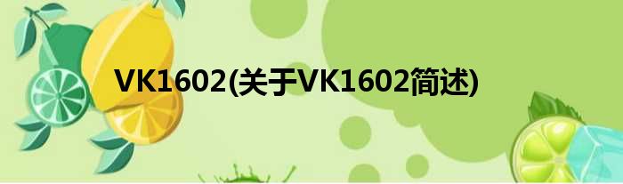 VK1602(对于VK1602简述)