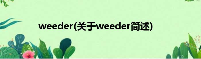 weeder(对于weeder简述)