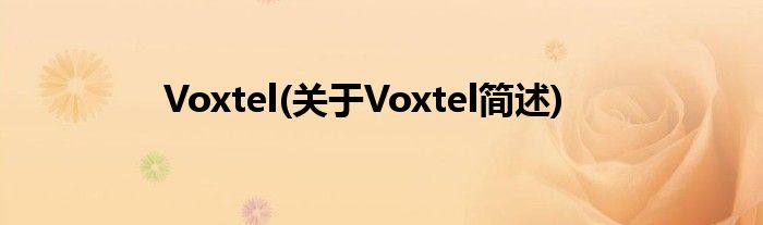 Voxtel(对于Voxtel简述)