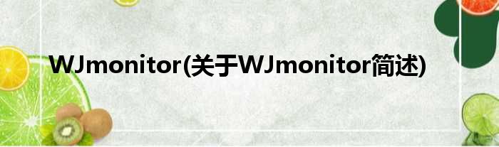 WJmonitor(对于WJmonitor简述)