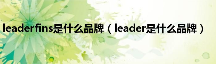 leaderfins是甚么品牌（leader是甚么品牌）