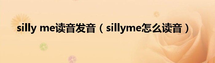 silly me读音发音（sillyme奈何样读音）