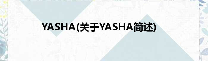 YASHA(对于YASHA简述)