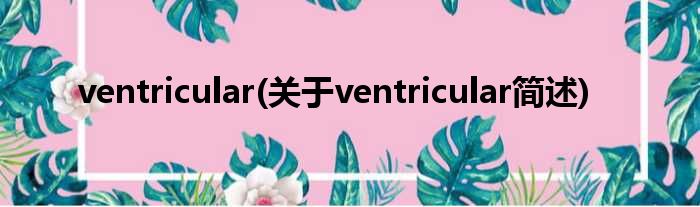 ventricular(对于ventricular简述)