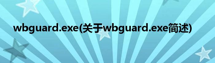 wbguard.exe(对于wbguard.exe简述)