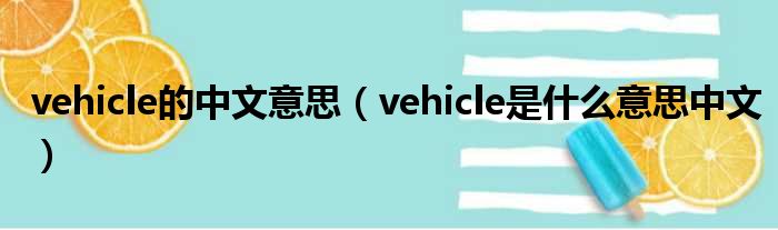 vehicle的中文意思（vehicle是甚么意思中文）