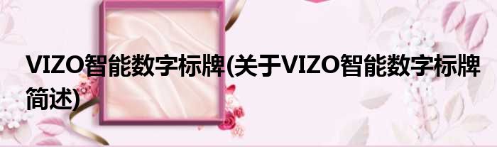 VIZO智能数字标牌(对于VIZO智能数字标牌简述)