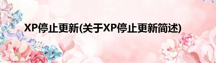 XP停止更新(对于XP停止更新简述)