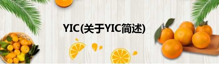 YIC(对于YIC简述)