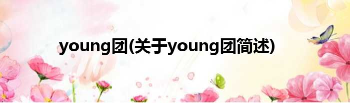 young团(对于young团简述)
