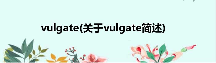 vulgate(对于vulgate简述)