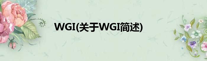 WGI(对于WGI简述)