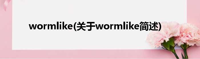 wormlike(对于wormlike简述)