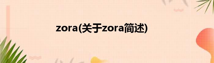 zora(对于zora简述)