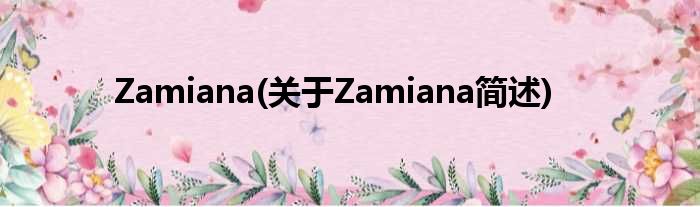 Zamiana(对于Zamiana简述)
