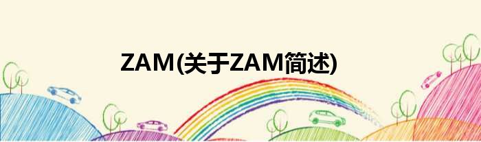ZAM(对于ZAM简述)