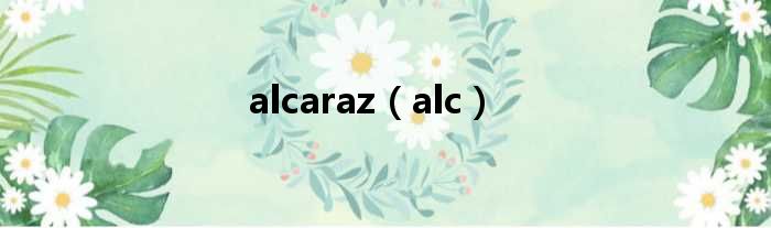 alcaraz（alc）