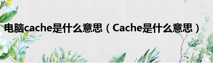 电脑cache是甚么意思（Cache是甚么意思）