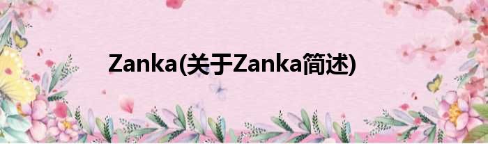 Zanka(对于Zanka简述)
