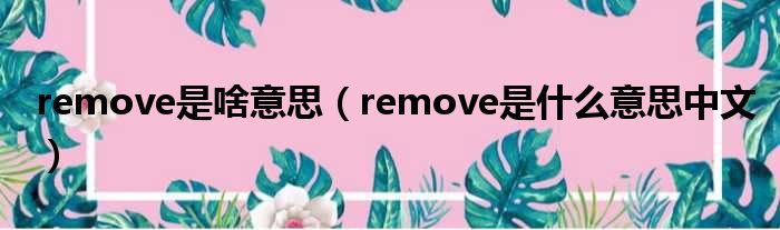 remove是啥意思（remove是甚么意思中文）