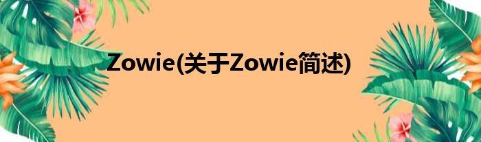 Zowie(对于Zowie简述)