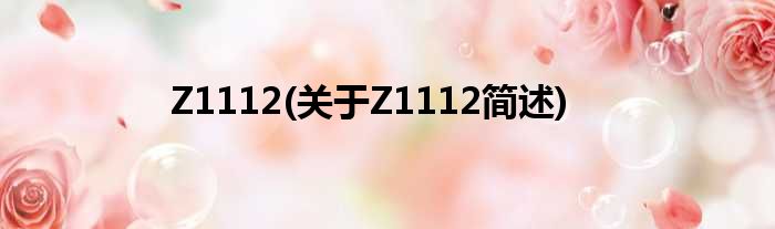 Z1112(对于Z1112简述)