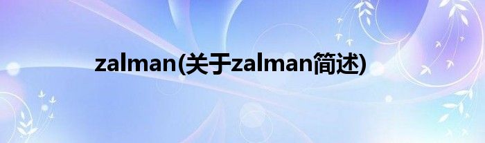 zalman(对于zalman简述)
