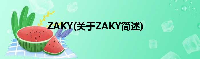ZAKY(对于ZAKY简述)