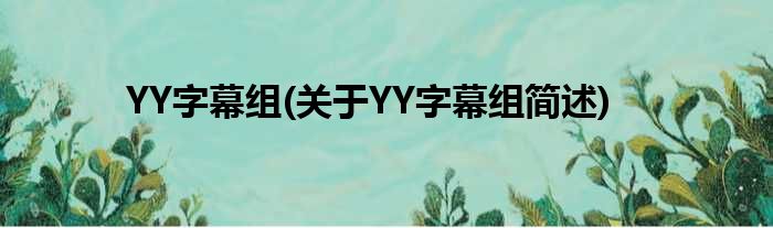 YY字幕组(对于YY字幕组简述)